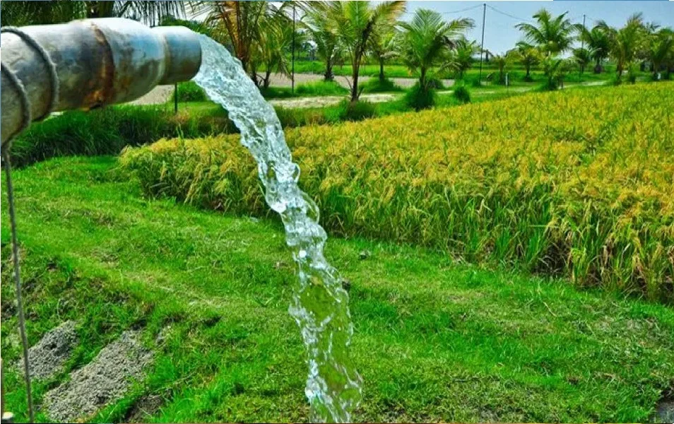 Agri sector contributes 17% to Karnataka economy, employs 58%: Minister