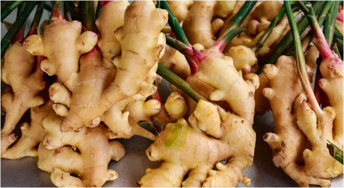 Ginger for Blood Pressure: Can This Kitchen Ingredient Really Help?