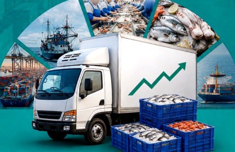 Govt revises WPI base year to 2022-23, to introduce new producer price indices