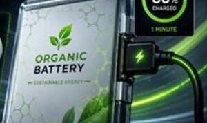 Indian researchers develop ultrafast organic battery material that charges to 80% in over a minute